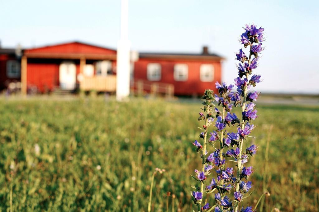Stf Bunge Hostel Faroesund ภายนอก รูปภาพ